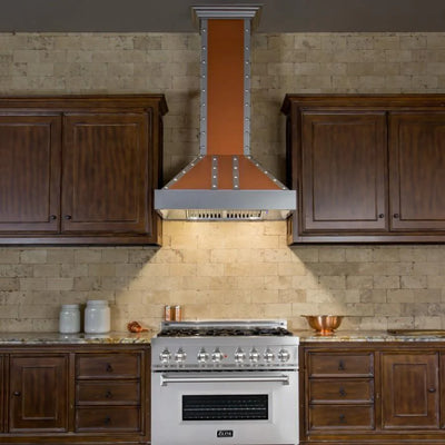 ZLINE Designer Series Wall Mount Range Hood (655-CSSSS)